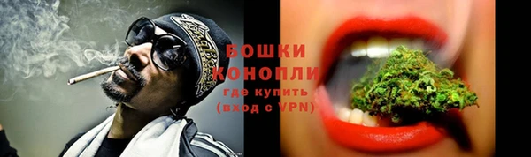 PSILOCYBIN Алексеевка