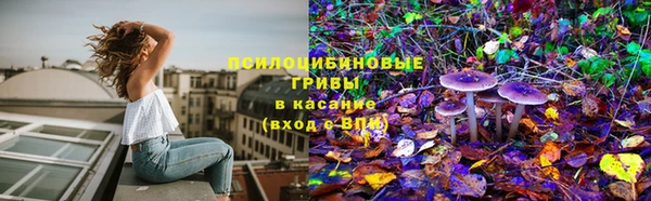кокс Алзамай