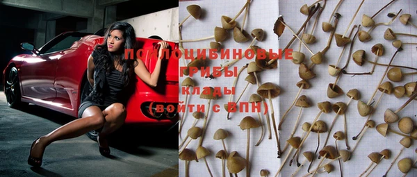 PSILOCYBIN Алексеевка