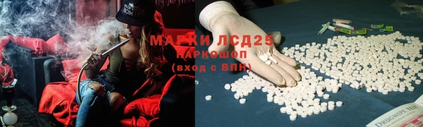 PSILOCYBIN Алексеевка